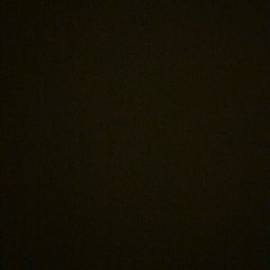 Meet your Posher, Darlene